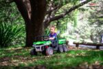 6 wheeler tractor buggy - Image 3