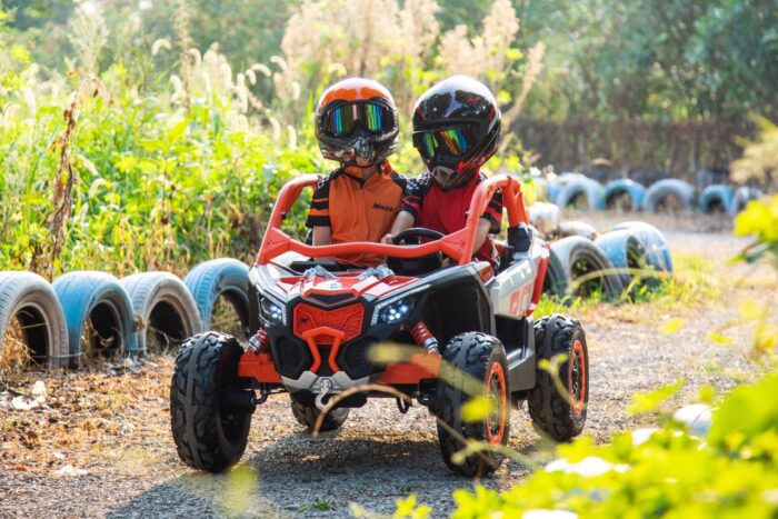 New 4WD 24V 800W Can-am Ride on Car - Image 10
