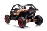 New 4WD 24V 800W Can-am Ride on Car - Image 5