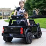Super duty License  24V SX2088 - Image 2