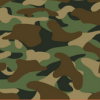 camouflage