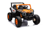 THE NEW DUNE BUGGY - Image 11