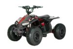 Quad  48V ATV016E