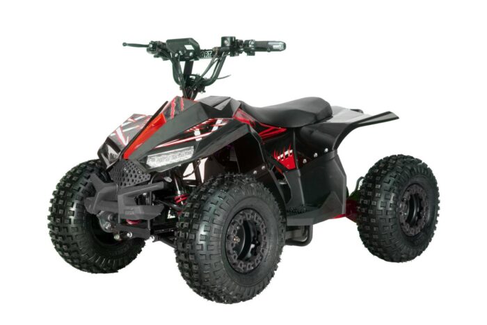 Quad  48V ATV016E - Image 1