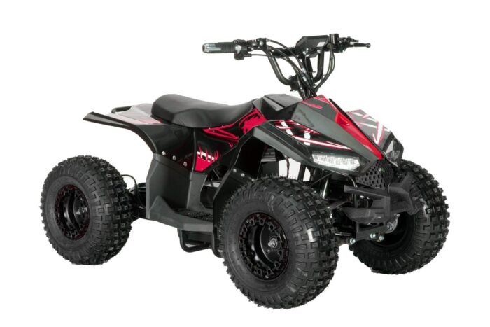 Quad  48V ATV016E - Image 3