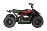 Quad  48V ATV016E - Image 2